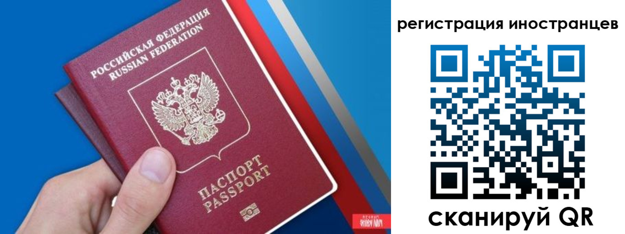 прописка 2025 в Дальнегорске
